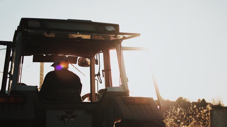 这种昆虫让美国农民赔惨了,它们狠起来连自己都怕